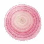chumley_onion